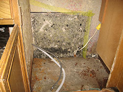 Kitchen Mold Removal | Indoor Mold | EMS | Environmental Management Solutions Inc | Remove Mold